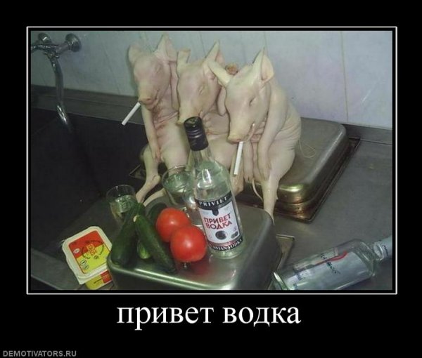 Демотиваторы про водку