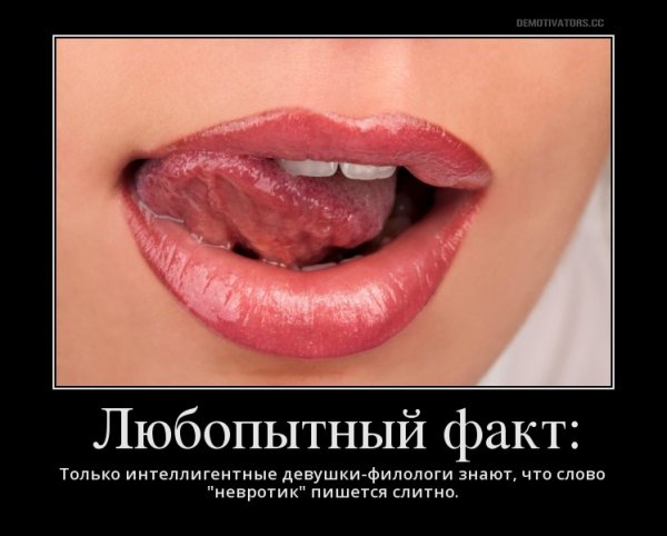 Собака с высунутым языком