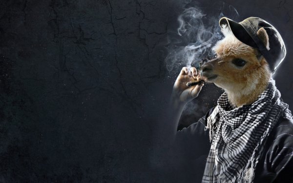 Креативные авы