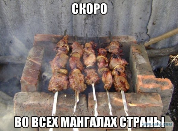 Хочется шашлыка