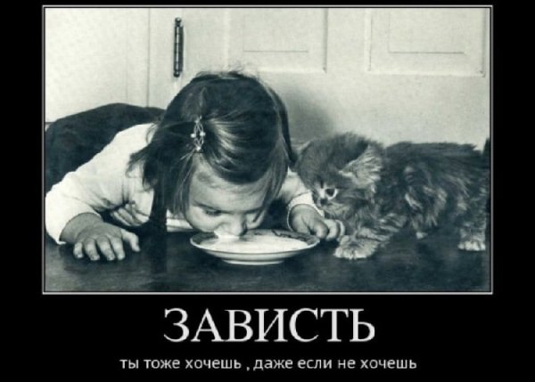 Зависть прикол