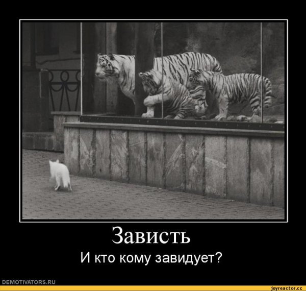 Было бы чему завидовать картинка