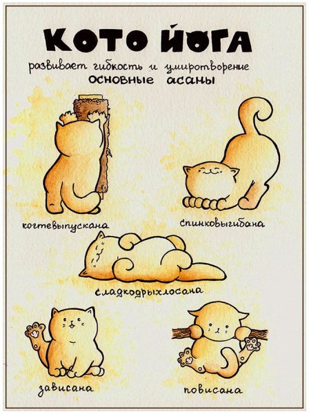 Йога шутки