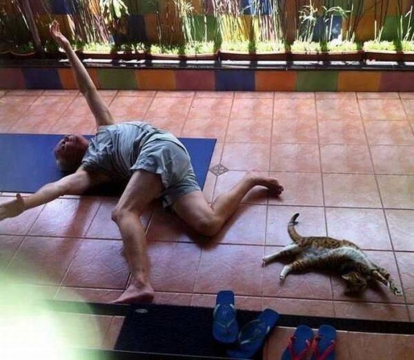 Приколы про йогу