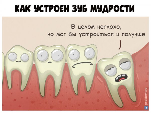 Нарисовать зуб