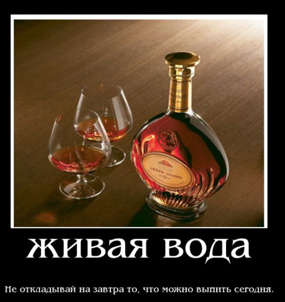 Коньяк прикол