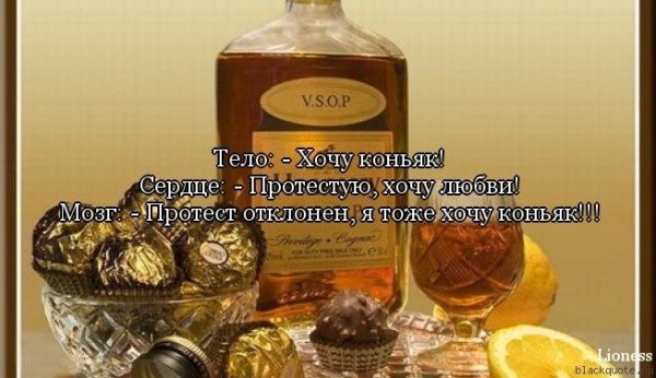Про коньяк прикольные