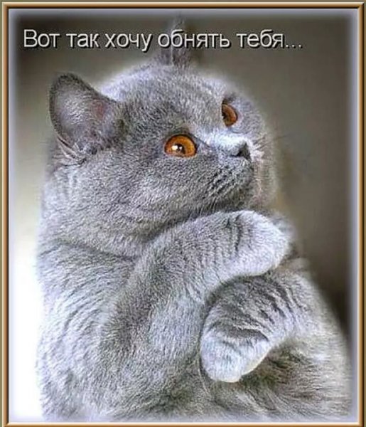 Хочу тебя обнять