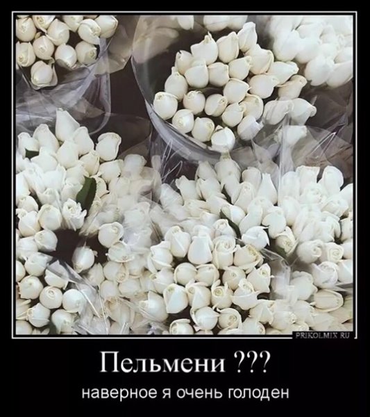 Пельмени прикол