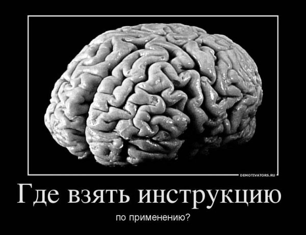 Юмор про мозги