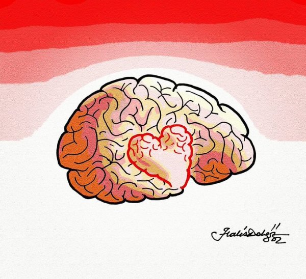 Мозги карикатура