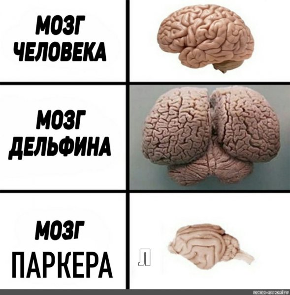 МОЗ Дельфин АИ человека