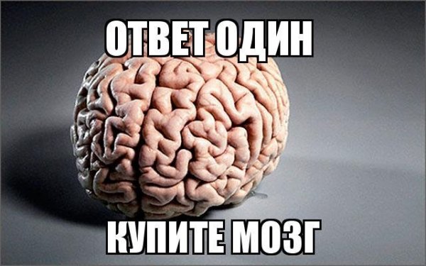 Мозг картинка