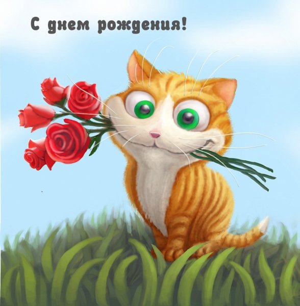 Кот с цветами