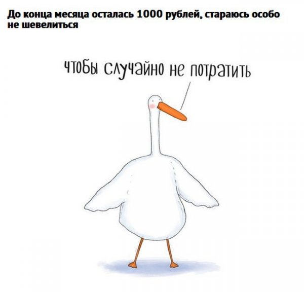 Мемы с гусем