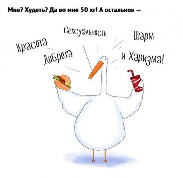 Гусь прикол