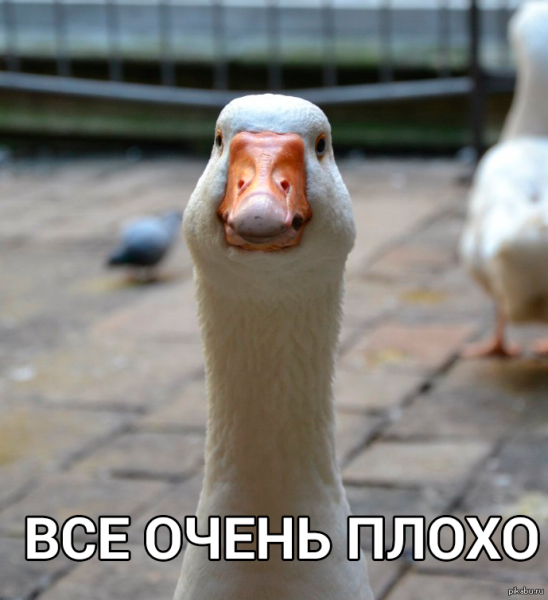 Смешной Гусь
