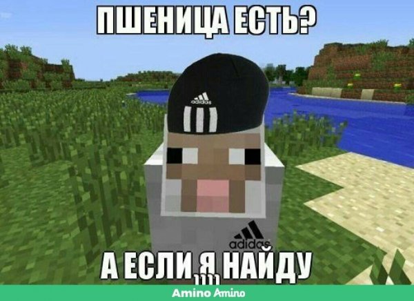 Прикольные картинки в МАЙНКРАФТЕ