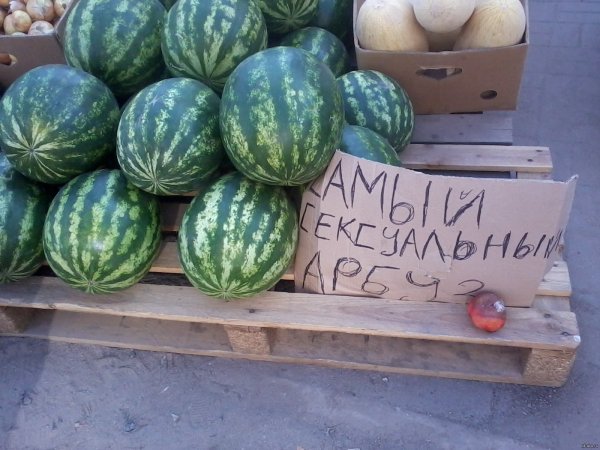 Смешной Арбуз
