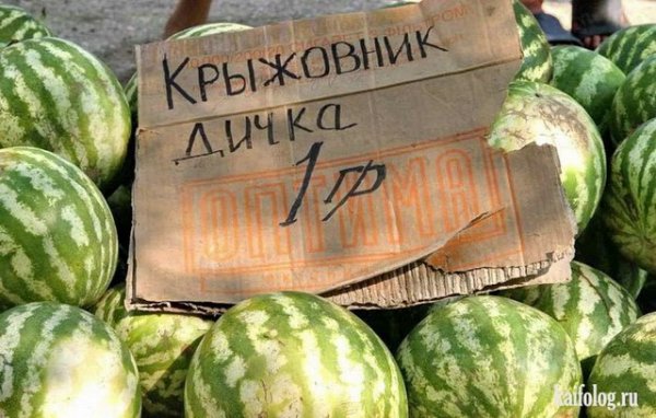 Арбузный юмор