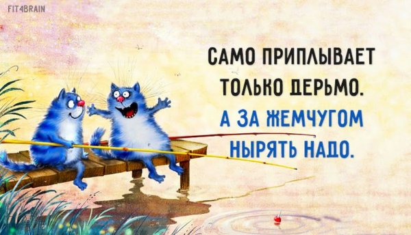 Веселые Мотивирующие фразы