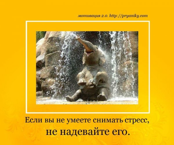 Мотиваторы позитивные про работу