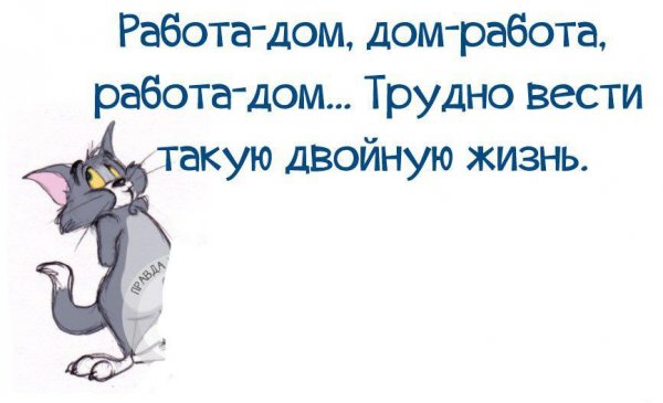 Высказывания мотивация прикольные