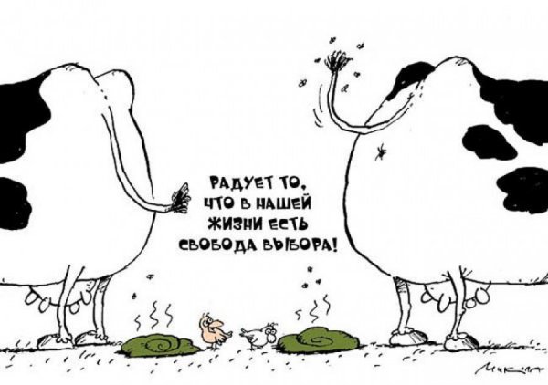 Свобода выбора карикатура