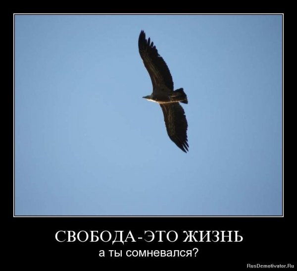 Жизнь и Свобода