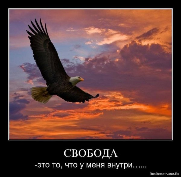 Свобода это то что у меня внутри