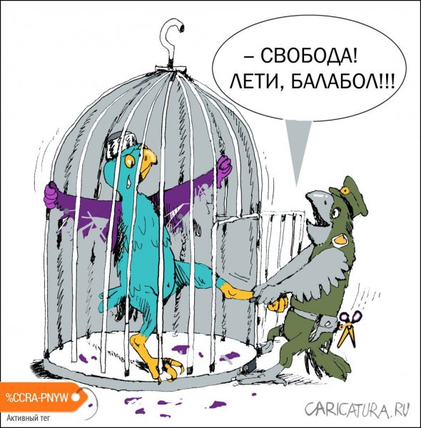 Попугай карикатура