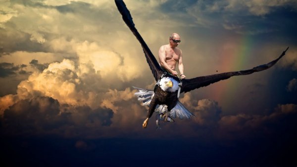 Верхом на птице