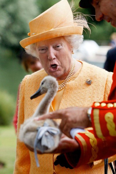 Swan upping в Великобритании