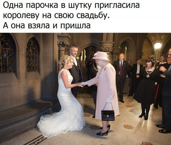 Приколы про королеву
