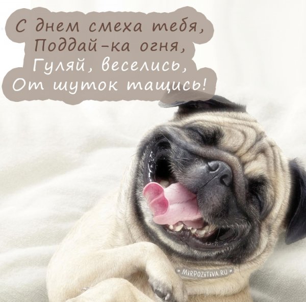 Поздравления с днём смеха