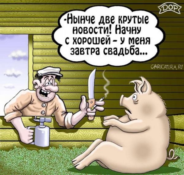 Карикатуры смешные