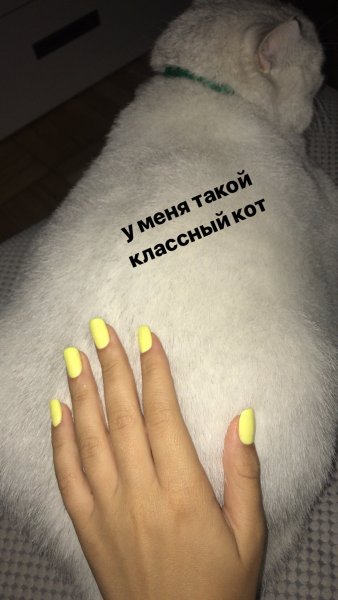 Прикольные высказывания про ногти