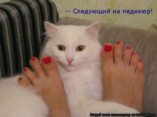 Приколы про маникюр и педикюр