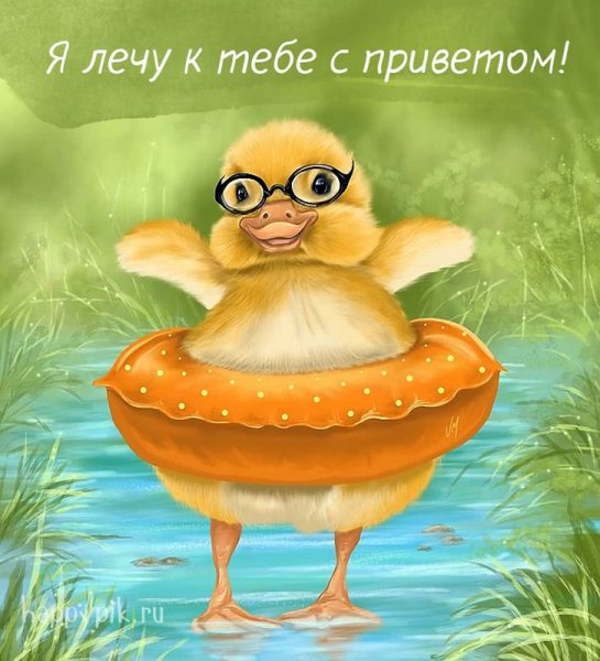Позитивные открытки