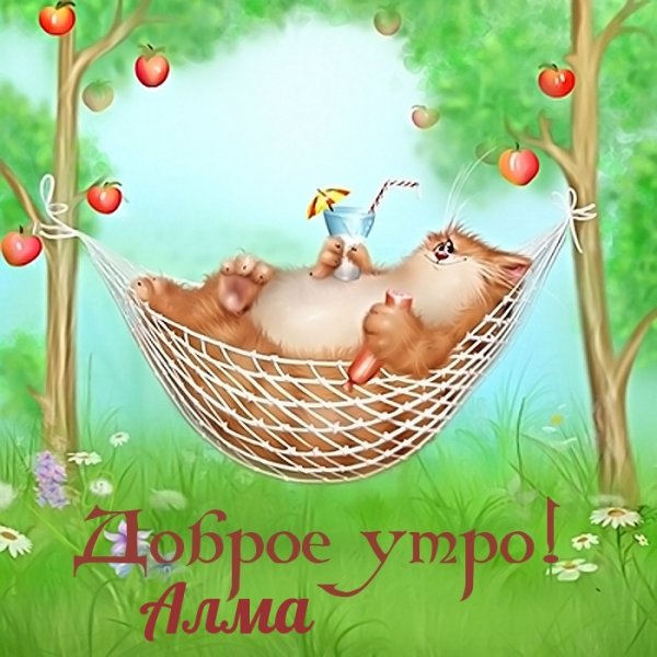 Котик в гамаке