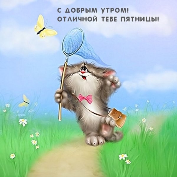 Веселые коты Алексея Долотова