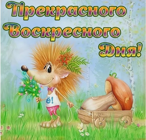 Ежики Алексея Долотова
