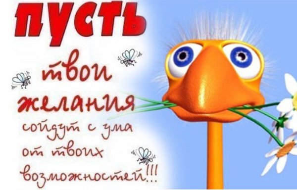 Прикольные пожелания