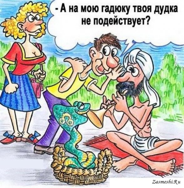Приколы карикатуры
