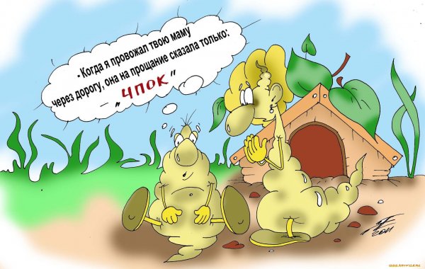 Карикатуры смешные