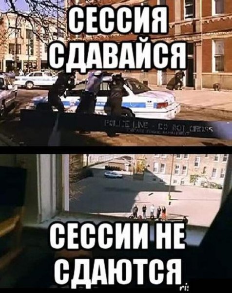 Сессия приколы