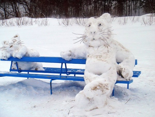 Зима прикольные