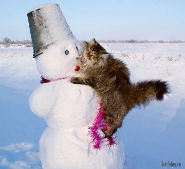Приколы про зиму