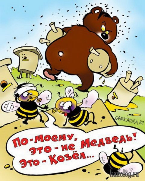 Пчела карикатура