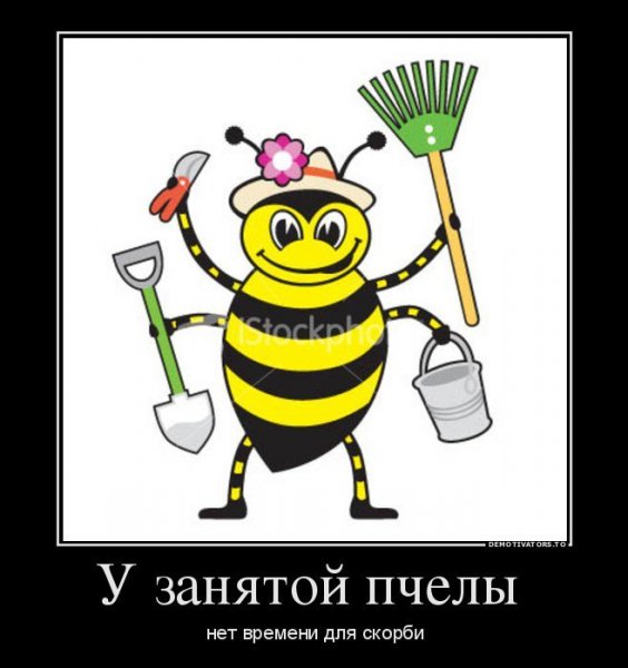 Пчелы юмор
